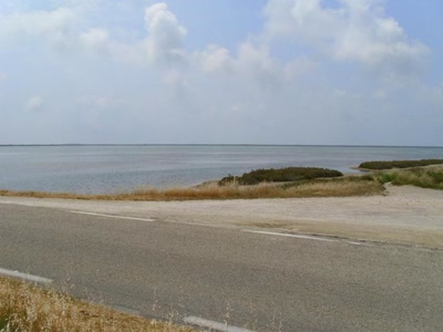 Résultat de recherche: salins du giraud
