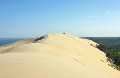 Résultat de recherche: Contemplation