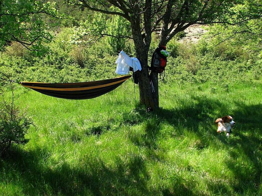 Prêt pour la sieste
