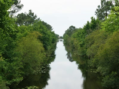 Résultat de recherche: Lacs Landais