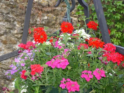 Résultat de recherche: fleurs du village de rochegude