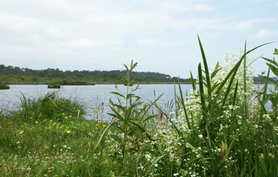 Résultat de recherche: Lacs Landais