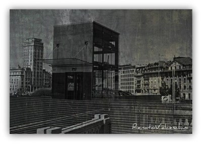 Résultat de recherche: Label Suisse