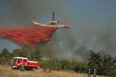 Résultat de recherche: feu de foret