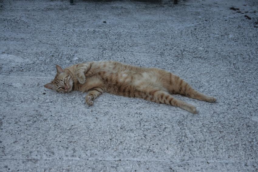 Ouh là là, que c'est bon cette fraicheur du soir..