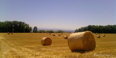 Œuvre de cmoiici: Hôme de paille
