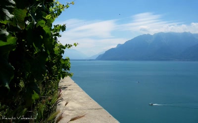 Œuvre de cmoiici: La Corniche