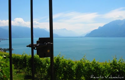 Œuvre de cmoiici: La Corniche