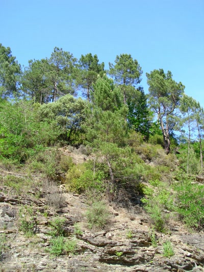 Résultat de recherche: vers alers