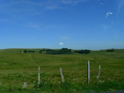 Résultat de recherche: nature vers nasbinals