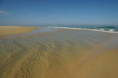 Œuvre de Le Menet: Escale au Banc d'Arguin