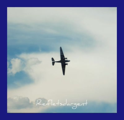 spectacle aérien suite