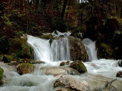 Œuvre de guyjass: torrent Saint Pierre de Chartreuse