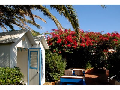 Œuvre de guyjass: EN SARDAIGNE 