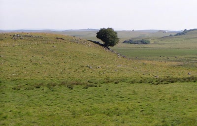 Résultat de recherche: nature vers nasbinals