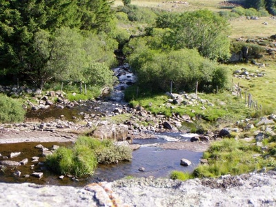 Résultat de recherche: riviere vers nasbinals