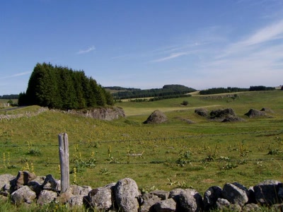 Résultat de recherche: nature vers nasbinals