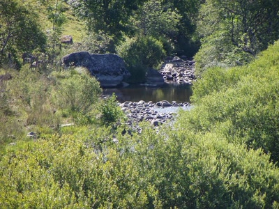 Résultat de recherche: riviere le bel