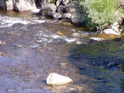 Résultat de recherche: riviere le bes