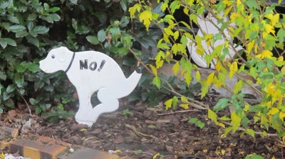 Œuvre de Lilytana: No comment !