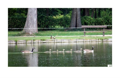 En avant ..... tous !!!!!