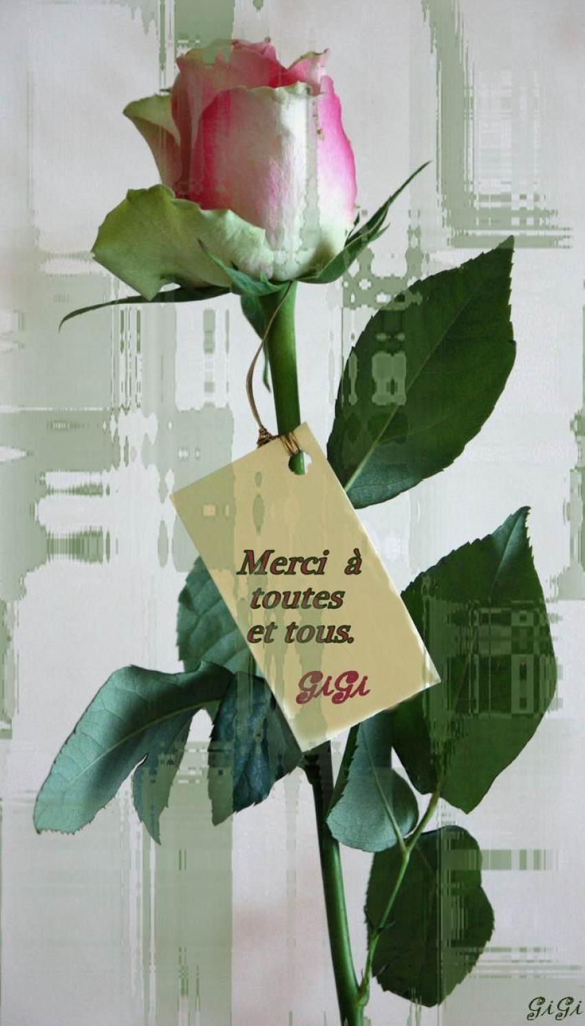 BONNE ET HEUREUSE ANNEE 2 0 1 2 .