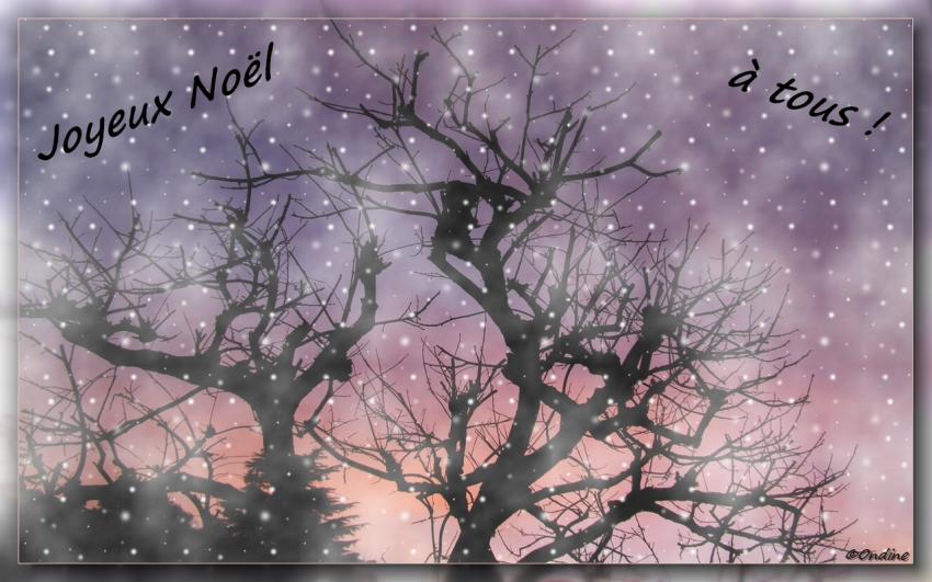 Joyeux Noël à tous les amis de Foupix !