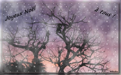 Résultat de recherche: Joyeux Noël à tous les amis de Foupix !