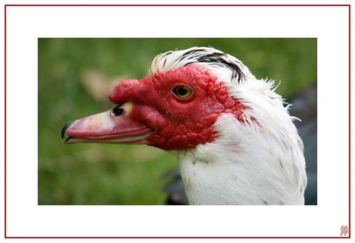 Résultat de recherche: Profil.