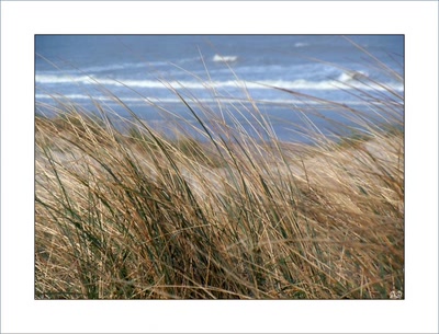 Résultat de recherche: Paysage côtier.