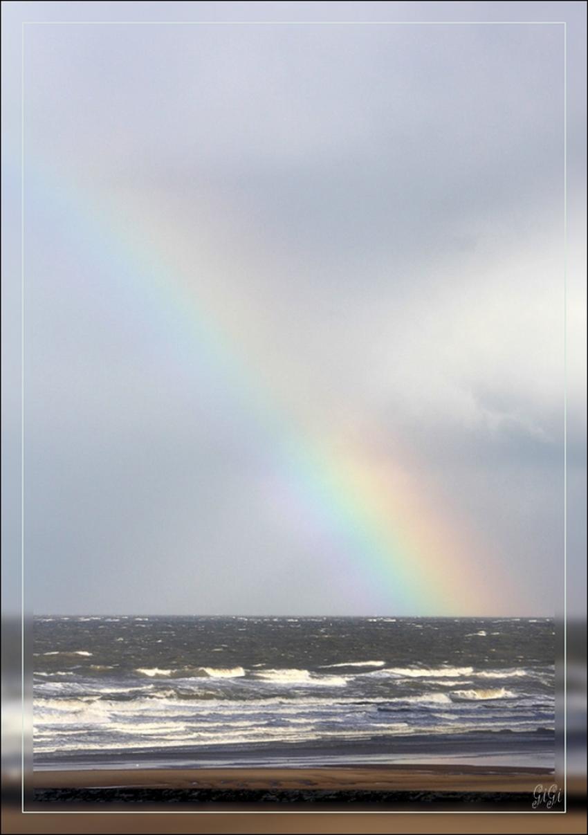 Couleurs irisées.....