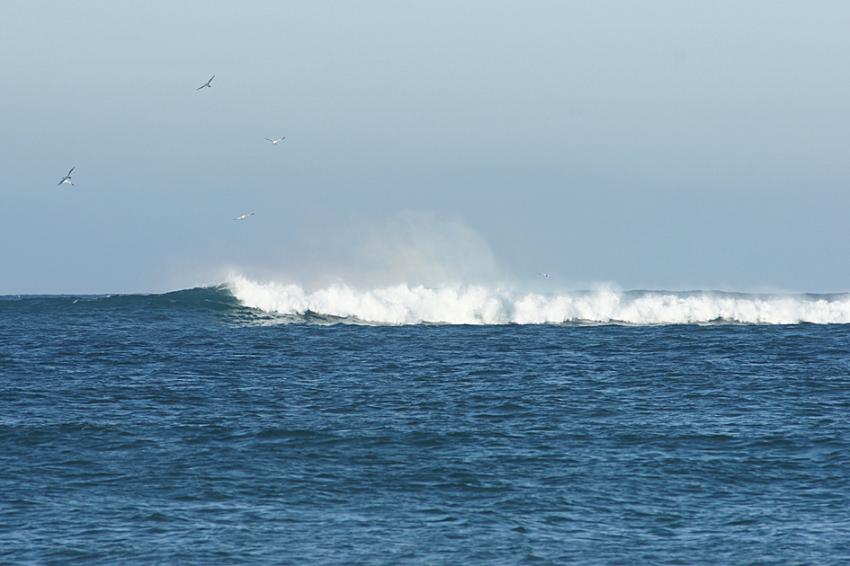 Vagues de l'Atlantique