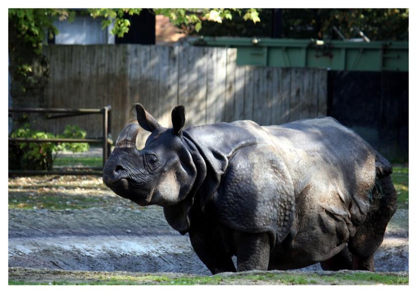 Bain de.... pattes !!!!