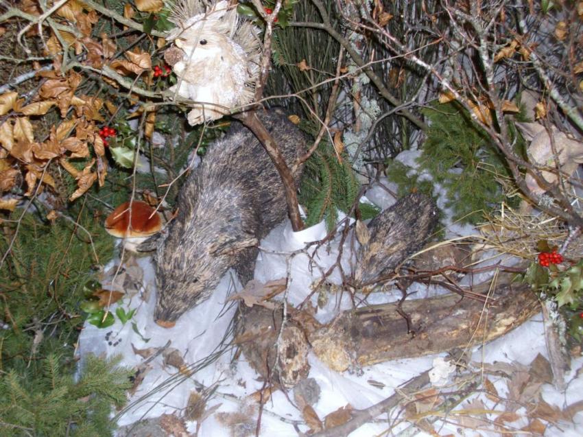 decors village d'angles