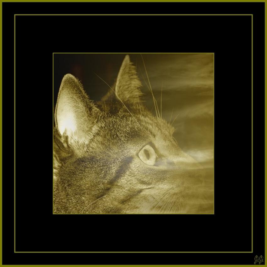 Mysty dans les "nuages".