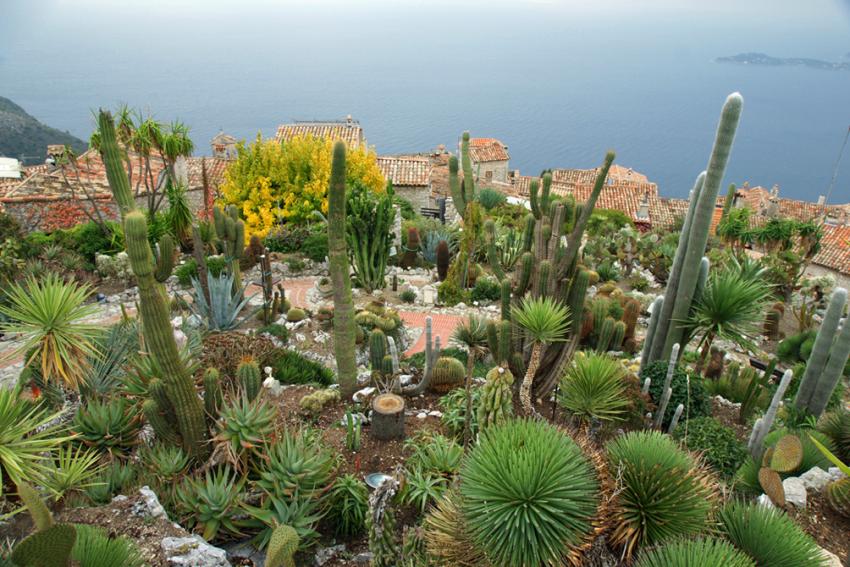 Eze-Village