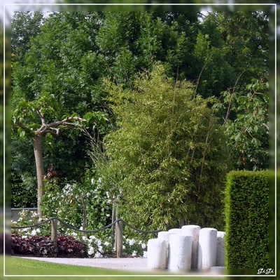 Résultat de recherche: Quiétude.