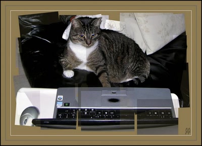 Résultat de recherche: Mysty et l'ordinateur.