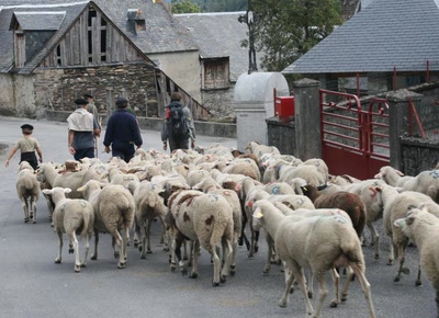 Les hautes pyrénées