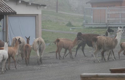 Les hautes pyrénées