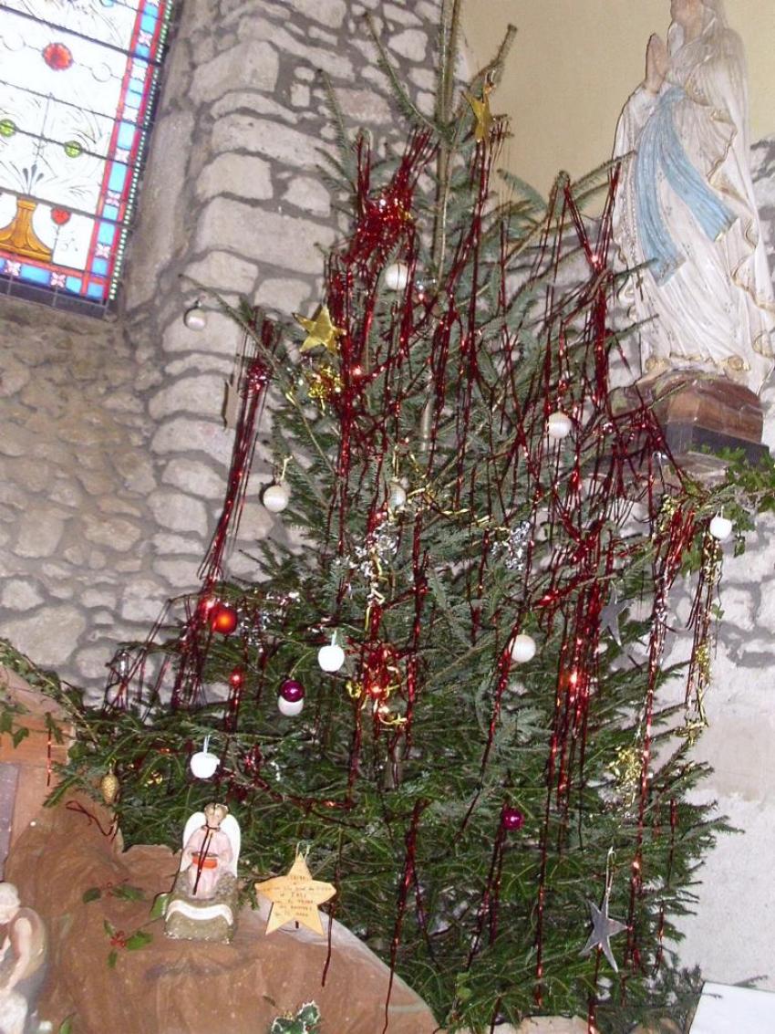 sapin de l'eglise du village d'angles