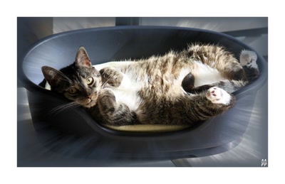 Résultat de recherche: La pose !!!!!