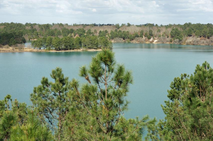 Lac landais