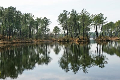 Œuvre de Le Menet: Reflets