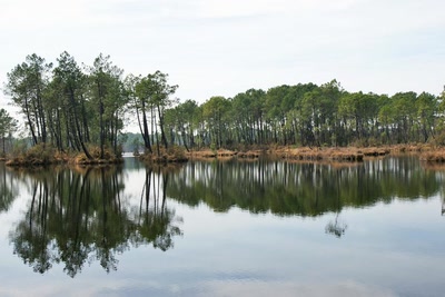 Œuvre de Le Menet: Reflets