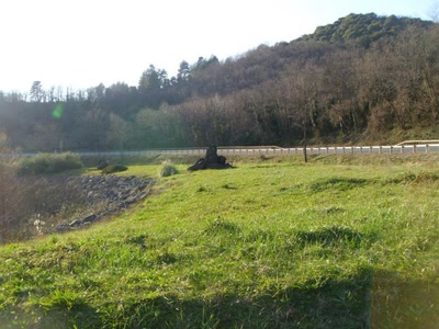 Résultat de recherche: coin detente vers alagues