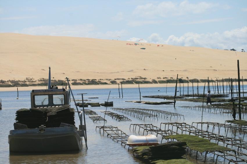 Dune du Pyla et ostréiculture