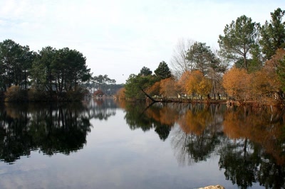 Résultat de recherche: reflets