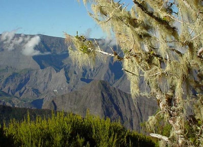 Œuvre de PdeP: Traversée de la réunion - barbe st antoine .