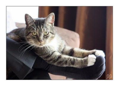 Résultat de recherche: Je m'amuse